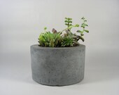 Round Concrete Planter