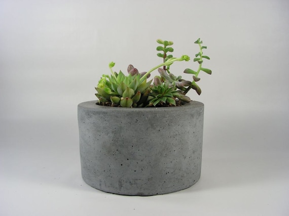 Round Concrete Planter