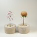 Mini Round Concrete Pot - set of 2