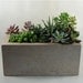 Rectangular Concrete Planter