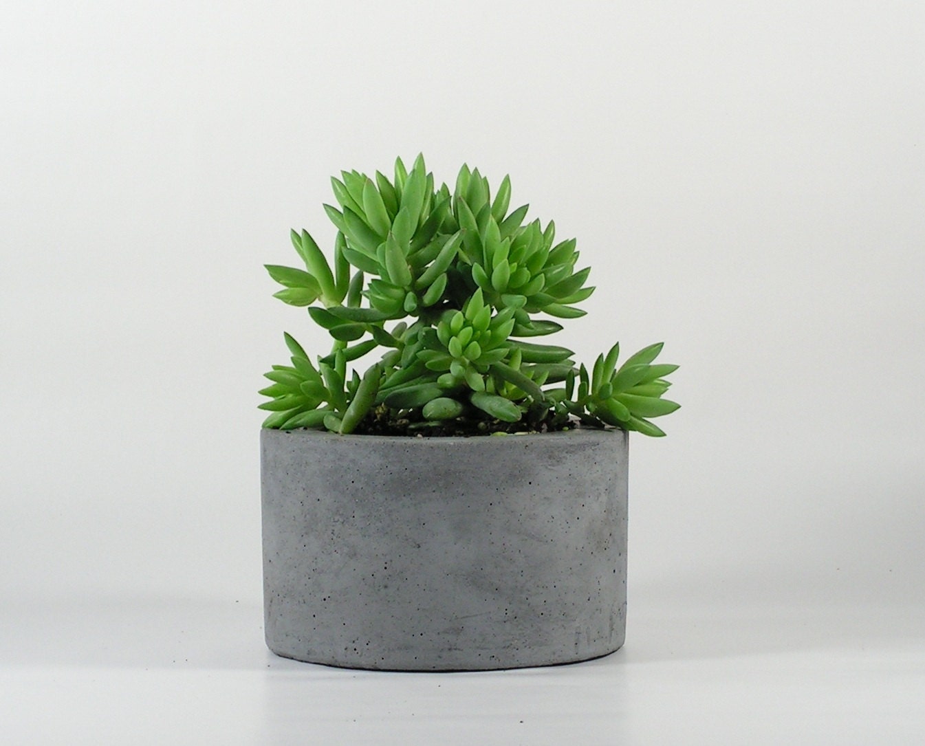 Round Concrete Planter