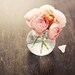 Coral ranunculus photograph - romantic fine art print - peach orange wall decor spring tangerine flowers in a vase wooden spring