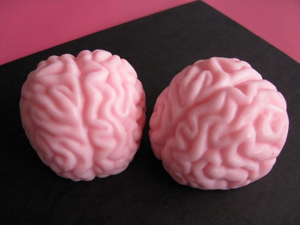 mini brain