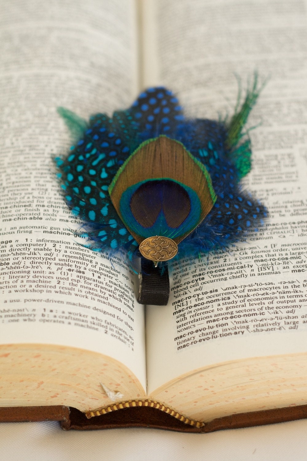 Peacock-y Nerds