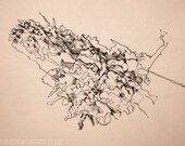 Arrangement in Ink