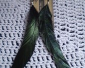Twyla Iridescent Black Feather Earrings