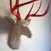 Cream & Red Deer Head Wall Mount