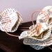 Pride and Prejudice Vintage Book Flower Garland - Literary Decor on Peach Cotton Twine