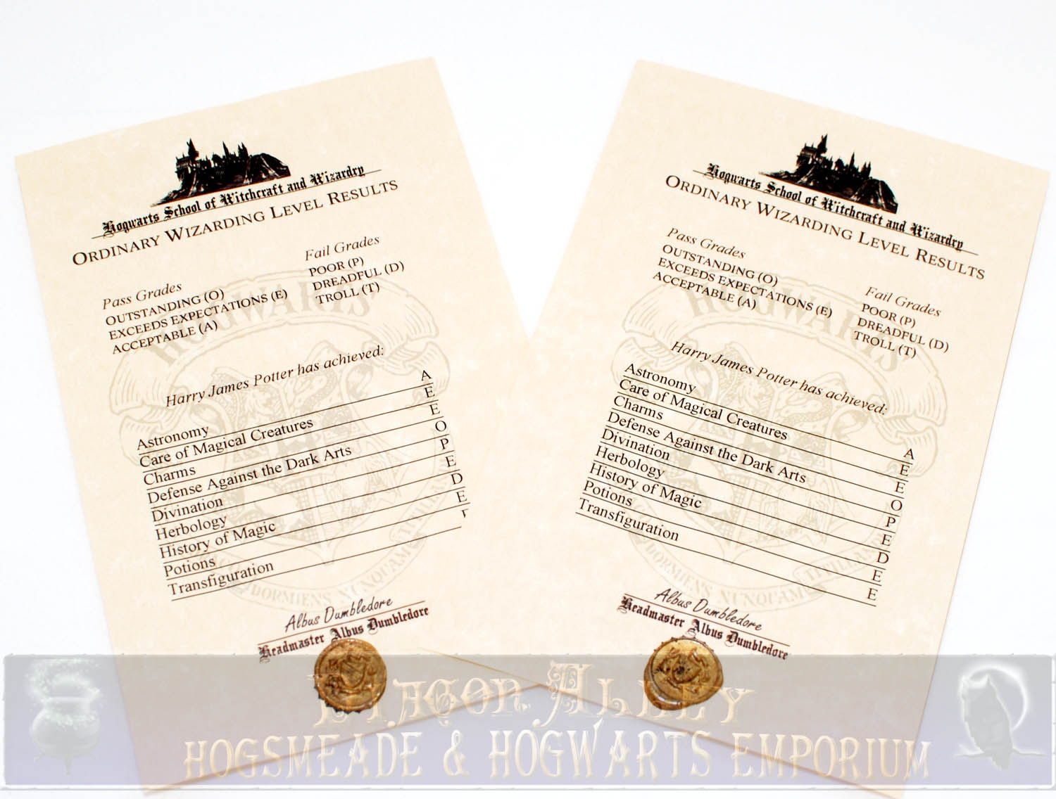 Hogwarts O.W.L. Report, Perfect for any Witch, Wizard or Harry Potter fan