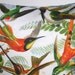 Decorative pillow, throw cushion, bird pillow, HUMMINGBIRDS by Ernst Haeckel Organic cotton,cushion cover, pillow, 16 inch, 41cm
