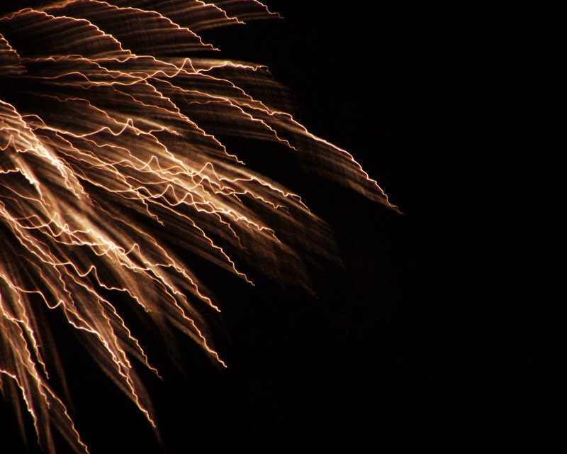 Fire Works Photography Abstract Dark Night  8X10 Print Light Show...
