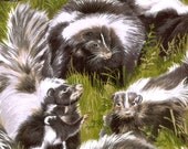 2 yards Skunk Fabric