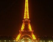 Eiffel Tower 5x7 Signed Metallic Photograph