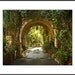 Original Photograph - Magical Garden