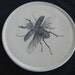 Stag Beetle Plate