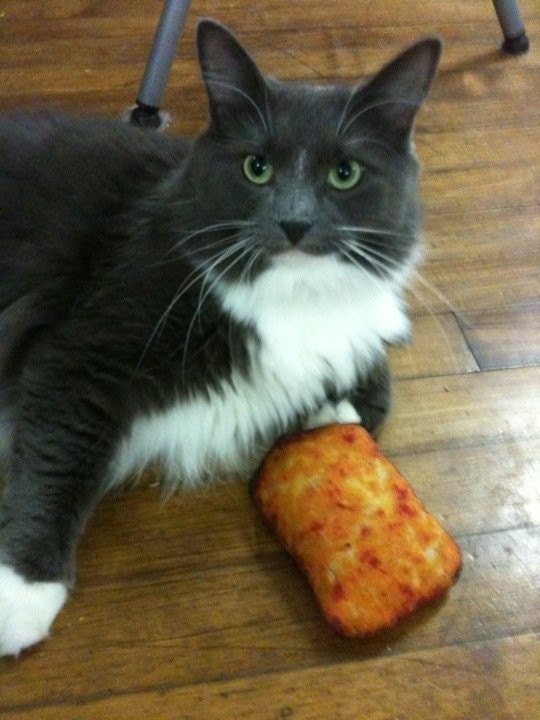 Hash Brown Cat Toy