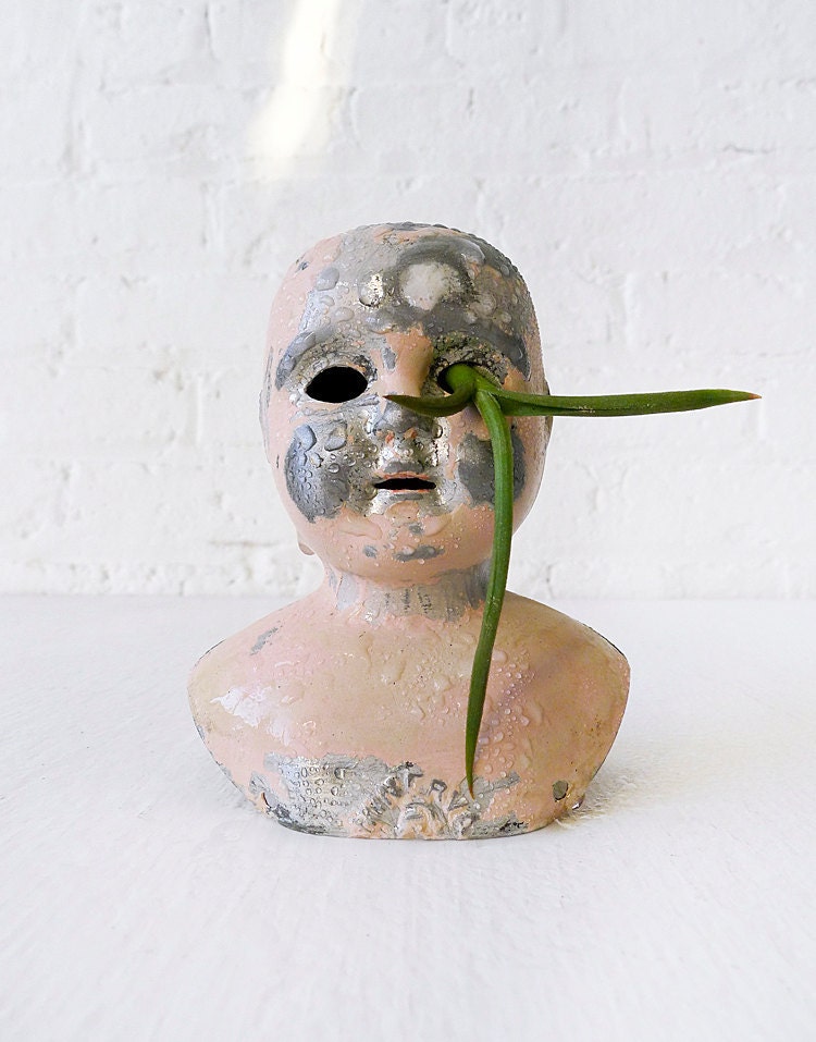 Scarface German Doll Head Air Plant Garden