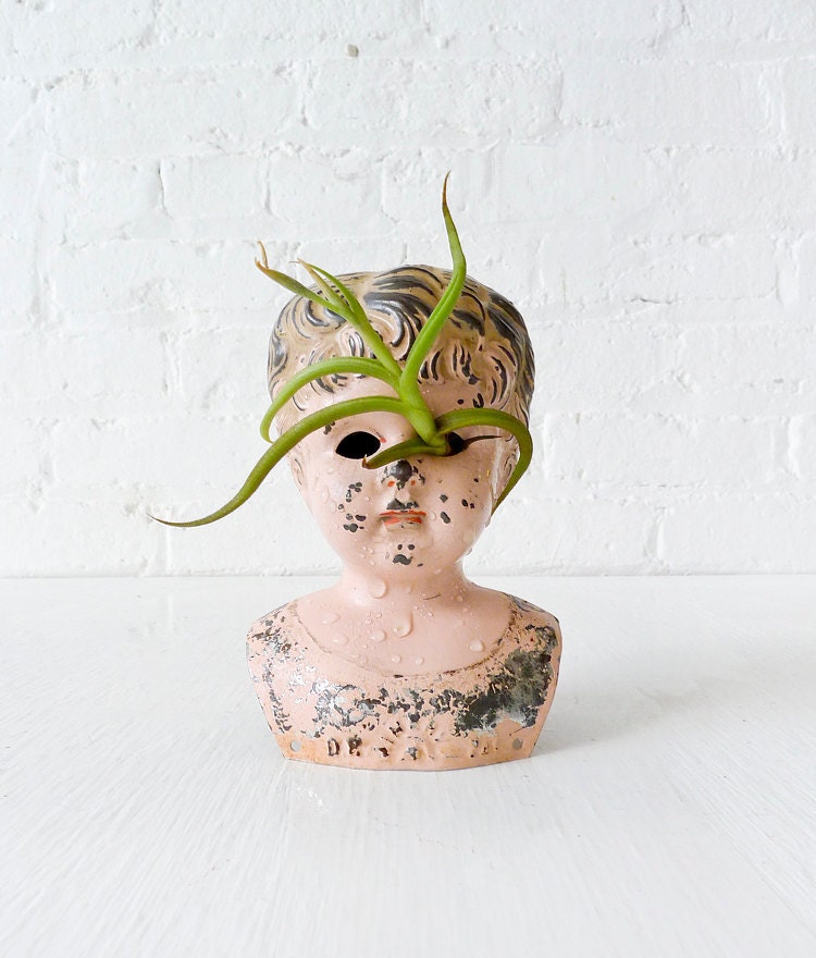 Large Antique German Rust Tin Doll with Air Plant Eye Garden