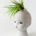 Air Plant Garden on Porcelain Doll Head