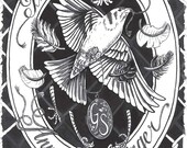 The Birdwisher (an illustrated novella by Anna Joy Springer)