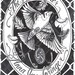 The Birdwisher (an illustrated novella by Anna Joy Springer)