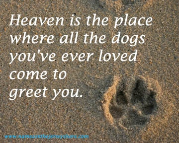 Heaven is Paw Print in the Sand 5x7 5 x 7 Printed fine art photo