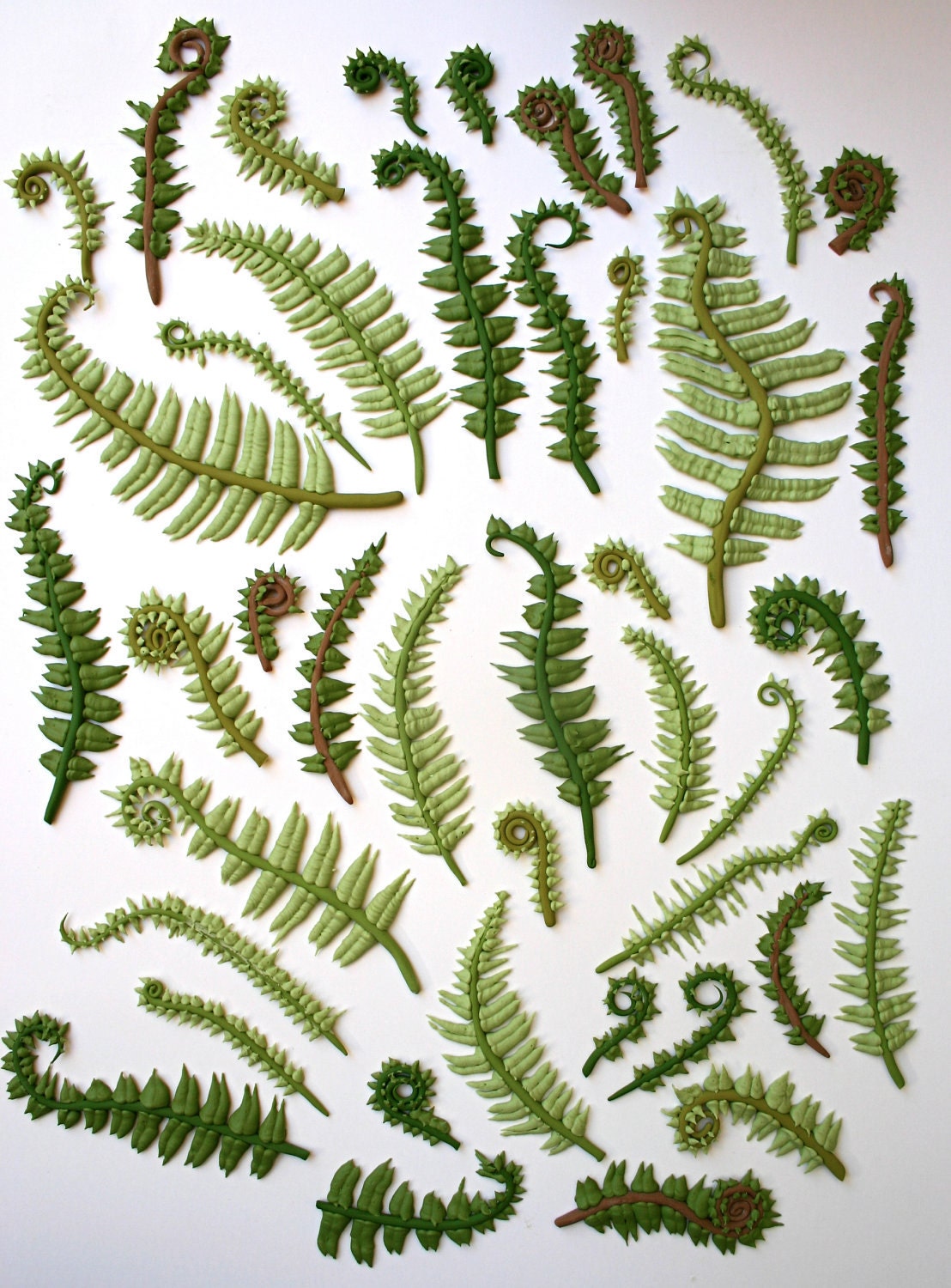 Edible Sugar Ferns & Fiddle Heads 30 assorted -as seen in The Bride's Guide, Martha Stewart Weddings