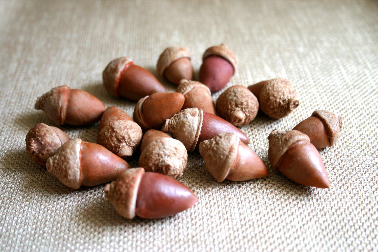Edible Chocolate Candy Winter Acorns 16 as seen in Martha Stewart Weddings Spring 2013