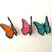 Sugar Butterflies, Vibrant Colors 3