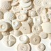 For Krissy: Edible Vintage Candy Buttons 40 IVORY