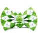 Argyle Dog Collar - Lime Argyle