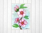 Art Print of Original Watercolor Painting. Almond tree. Israel art