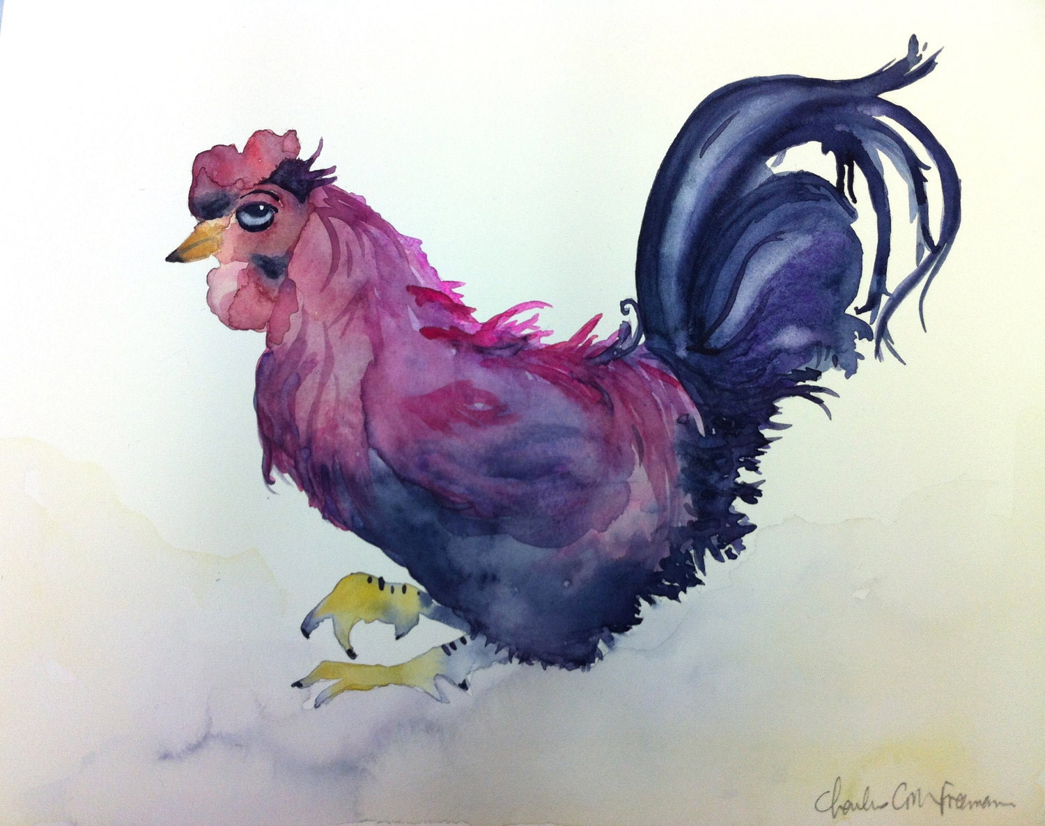 Rooster Chicken farm egg proud cocky hen coop purple pink blue metrosexual animal feather nature organic pet bird beak unamused