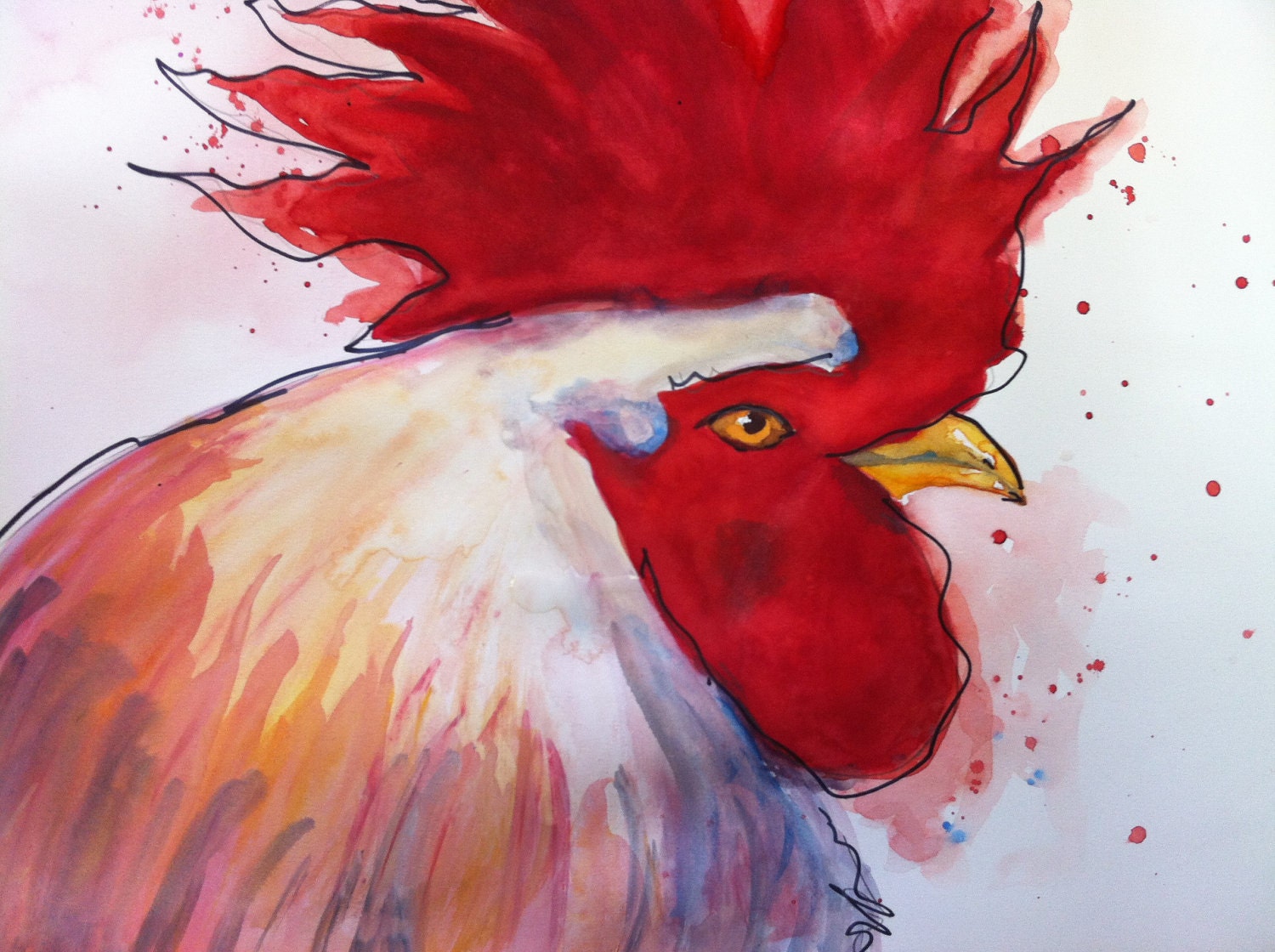Rooster Chicken farm egg proud cocky hen coop red white animal feather nature organic pet bird beak unamused