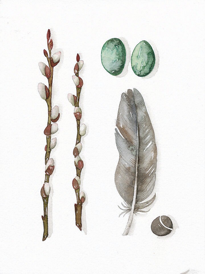 Print Fine Art Illustration Feather Collection No.19 - (6 x 8) Original Watercolor Painting by Lorisworld