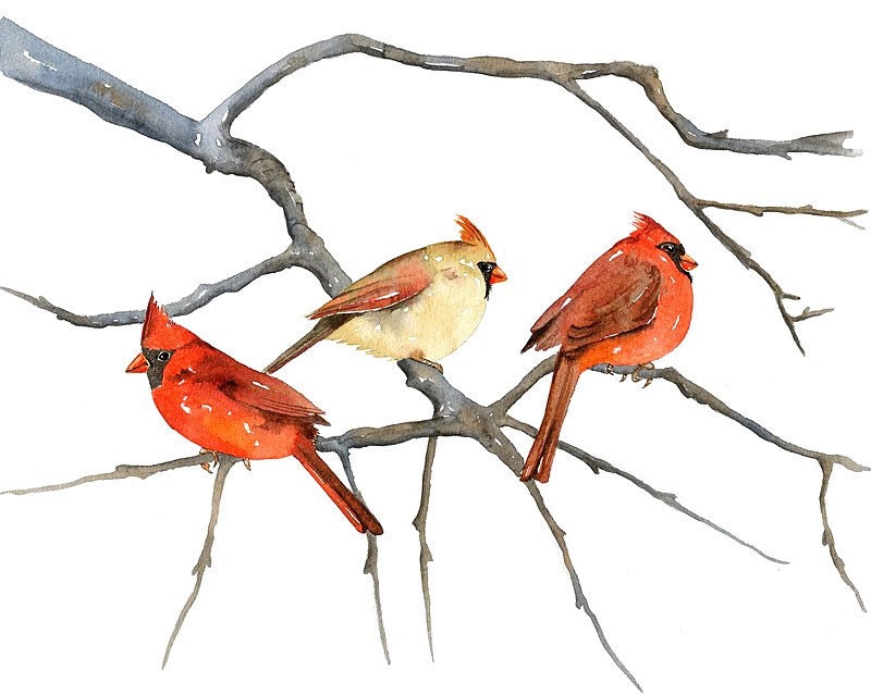 CARDINALS by Lorisworld - 10x8 Bird Print, Limited Edition
