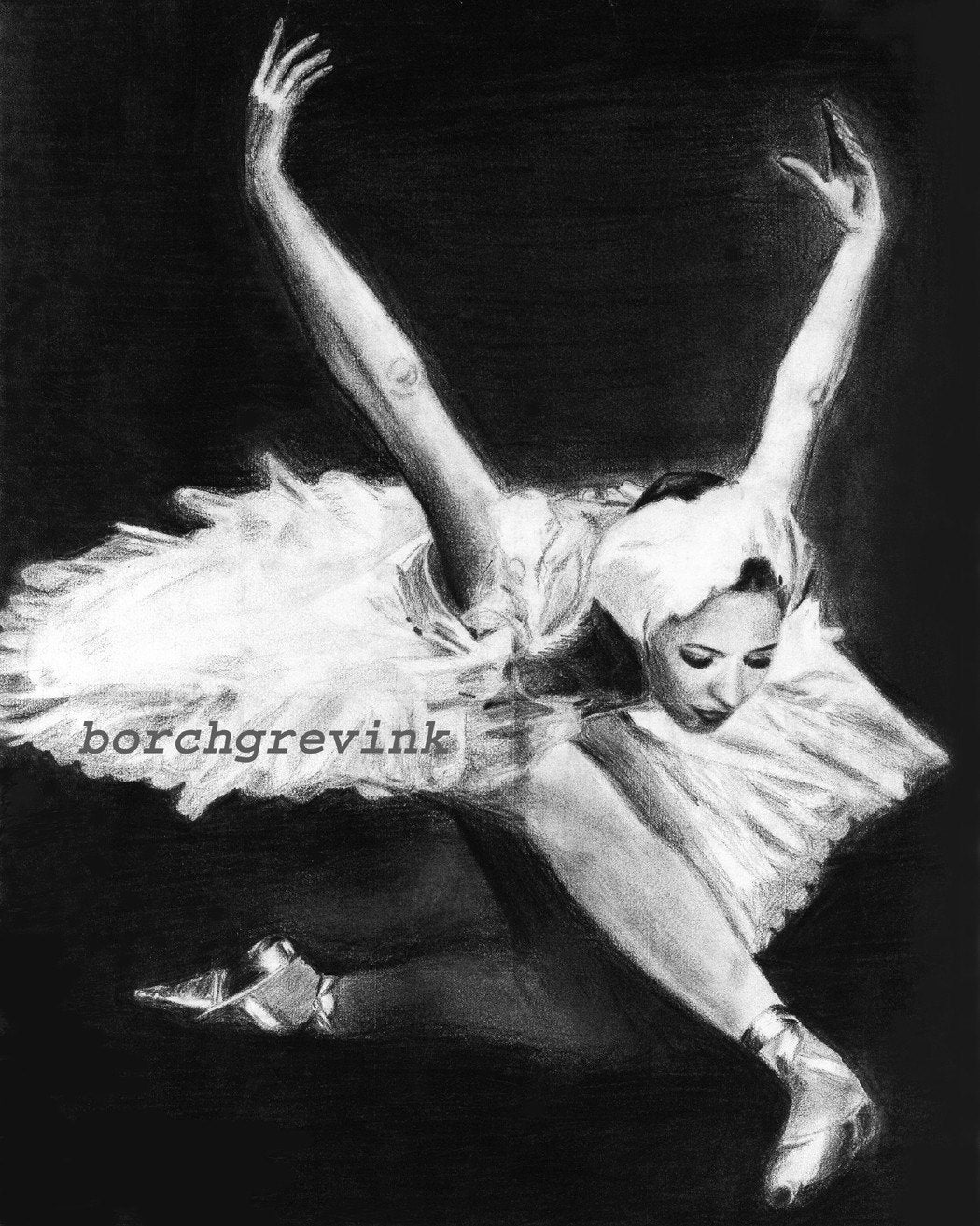 Dying Swan - pencil drawing 11" x 14", matted