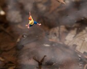 Take a Leap 8x10