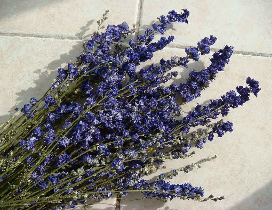 dried purple flowers