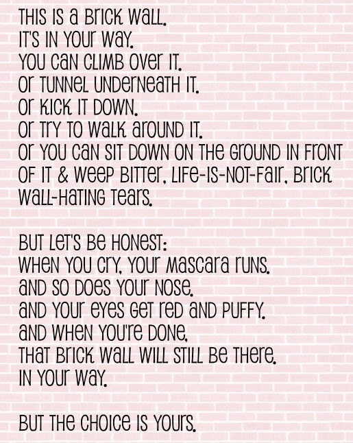 We All Have Brick Walls Art Print (8.5 x 11)
