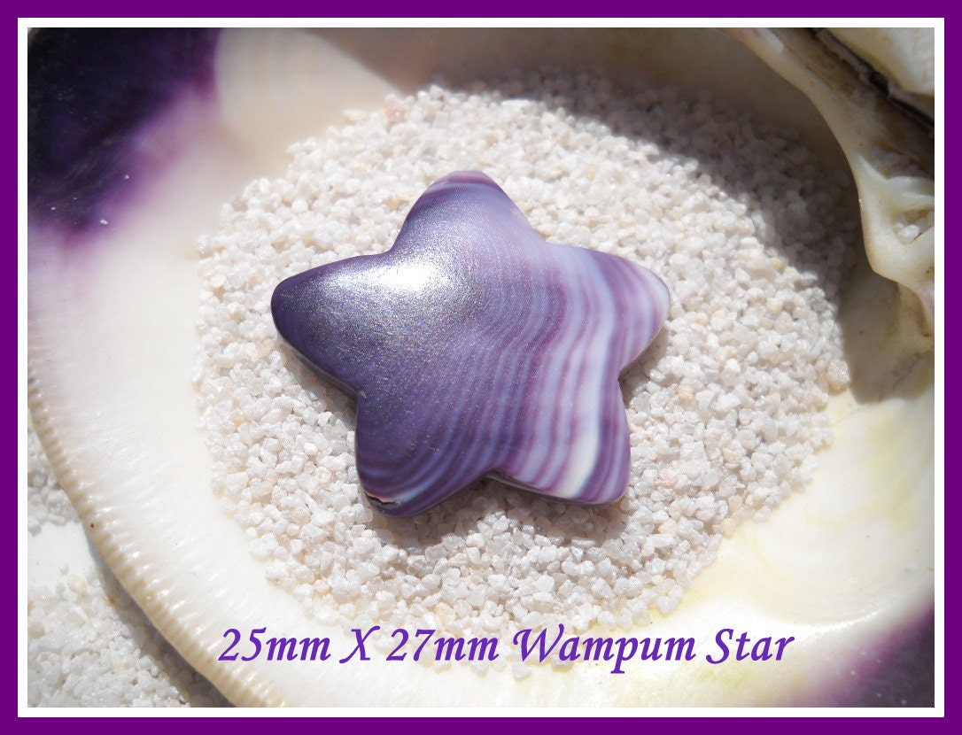 Drilled Wampum - Marthas Vineyard Quahog Shell -  Purple and White Striped Shell - Star