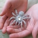 Wedding Brooch - Crystal Spider