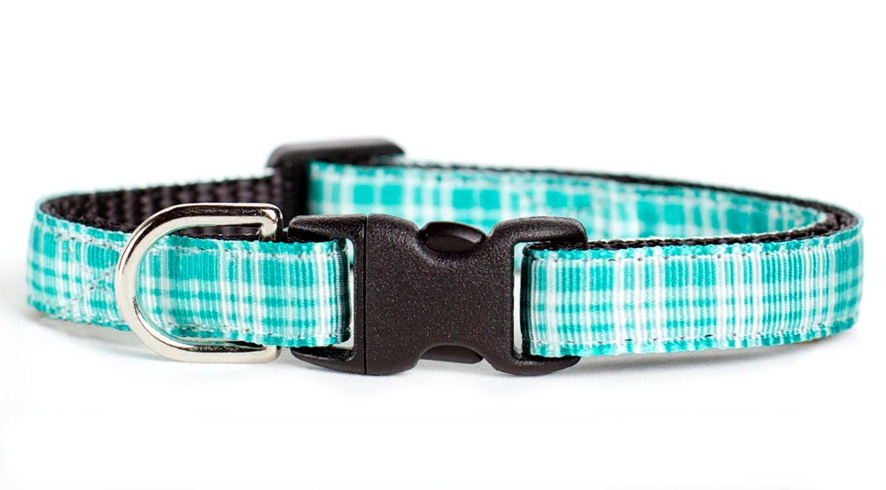Cat Collar - The Don't Box Me In