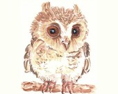 Owl Watercolor PRINT - Animal Watercolor, Limited Edition, 8x10 Print, 23/25