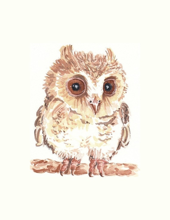 Owl Watercolor PRINT - Animal Watercolor, Limited Edition, 8x10 Print, 23/25