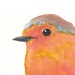 Original Bird Watercolor Painting - Ballet Art, Tutu, Robin, nursery art