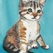Kitten Watercolor PRINT - Cat Watercolor, Animal Art, 8x10, Art Print, 7/25