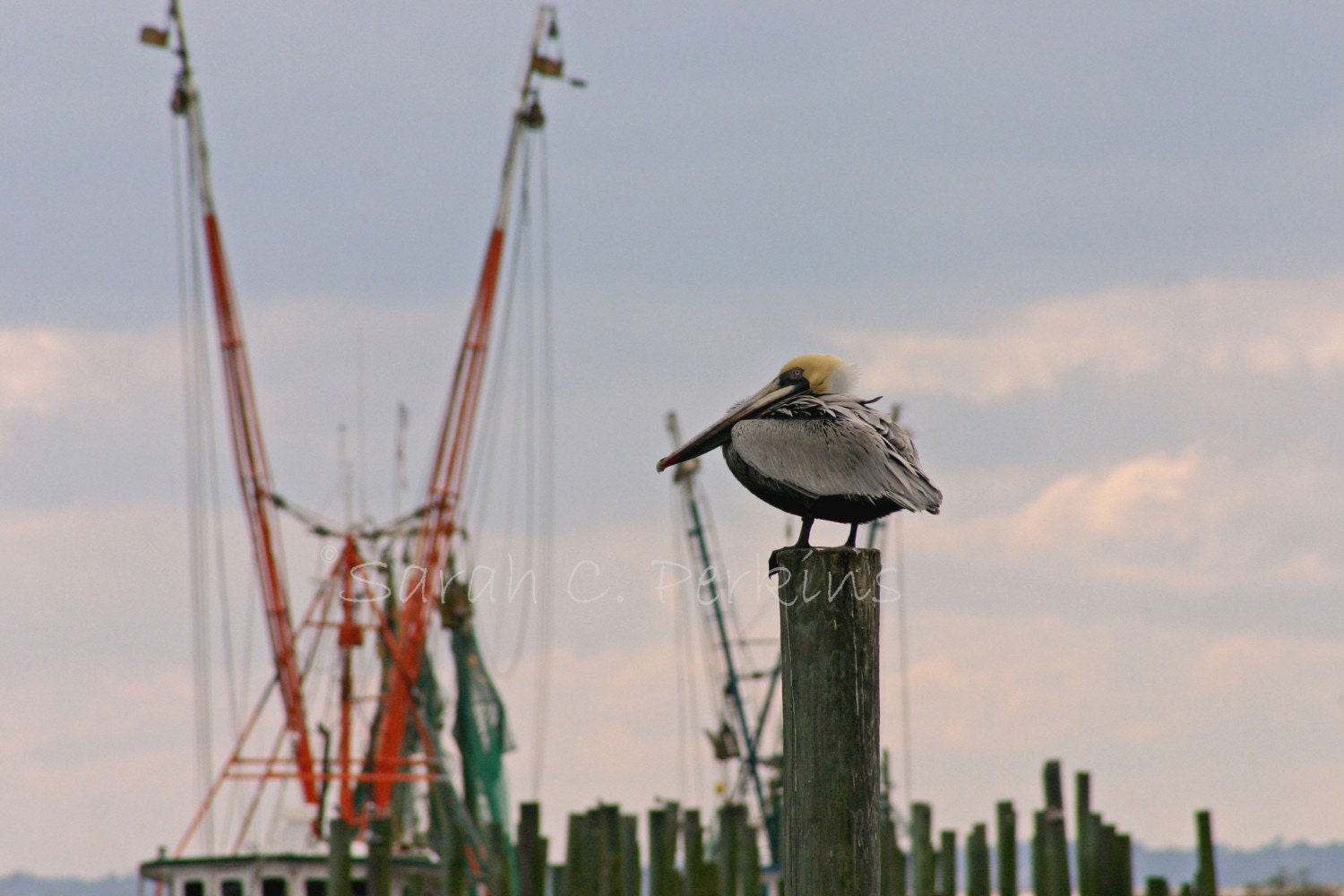 Nautical Home Decor Fine Art photograph 8X10 IN STOCK South Carolina coastal art Fishing Boat Bird southern sunset sky