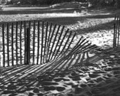 Coastal Photography Fine Art print 8X10 B&W Sand beach cottage chic nautical weathered fence Free US Shipping