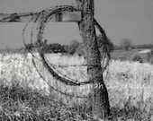 Rustic Home Art Barbwire Fence Photography Scene Fine Art B&W print 8x10 IN STOCK Amish Country rural farm ranch Free US Shipping